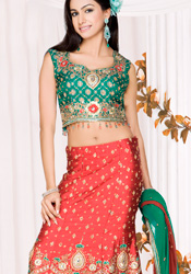 Adorable Lehenga Choli