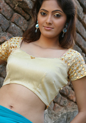 Stone Studded Cream Silk Blouse