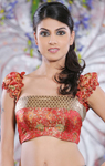 Cbazaar Appealing Floral Art Brocade Blouse