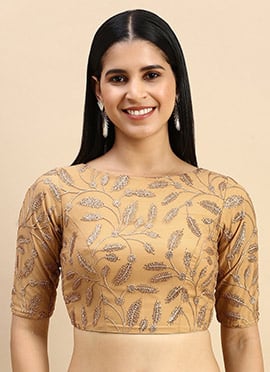 Beige Embroidered Net Blouse