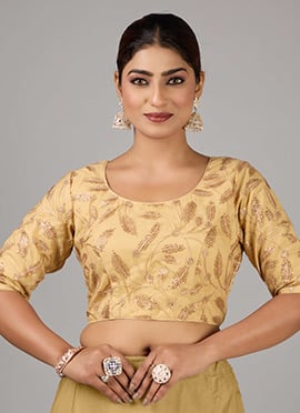 Beige Embroidered Net Blouse