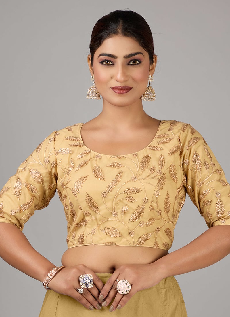 Beige Embroidered Net Blouse