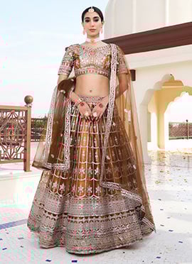 Brown Net Zari Embroidered Sequins Gorgeous Lehenga