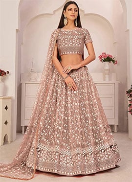 Chocolate Brown Net Embroidery A Line Lehenga