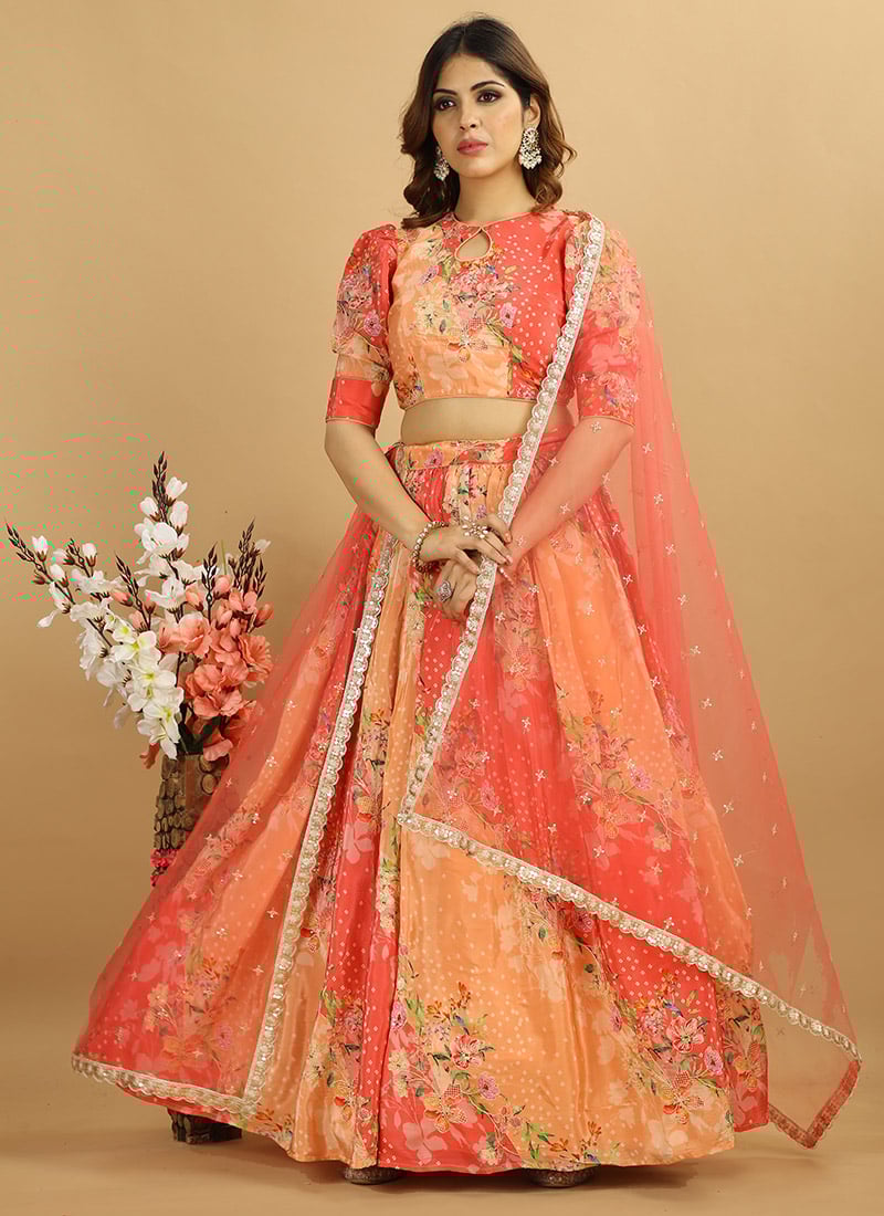 Classic Blouse N Multicolor Embroidered Lehenga