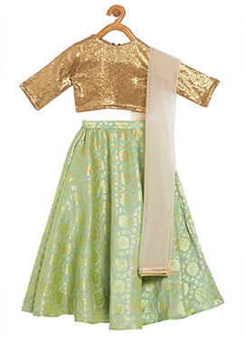 Kids Girls Green N Brown Embroidered Lehenga Set