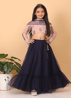 Kids Girls Pink Embroidered Georgette N Blue Net Lehenga