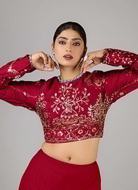 Maroon Rangoli Silk Embroidered Close Neck Blouse