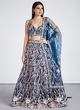 Navy Blue Net Embroidered Umbrella Lehenga