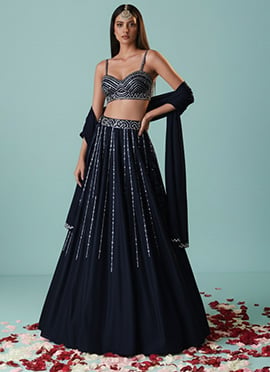Navy Blue Silk Hand Embroidered Stone Work Lehenga