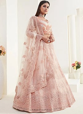 Peach Net Embroidered A Line Lehenga