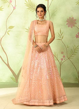 Peach Net Embroidered Sequins Lehenga