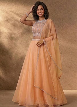 Peach Organza Hand Embroidered Stone Work Lehenga