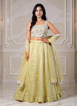 Pista Green Organza Tissue Zari Sequins And Stone Work Choli Lehenga