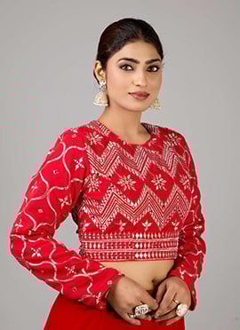 Red Embroidered Georgette Blouse