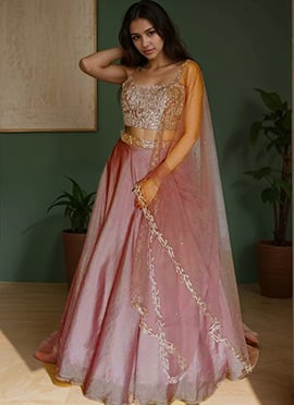 Rose Pink Organza Stone And Cut Dana Hand Embroidered Lehenga