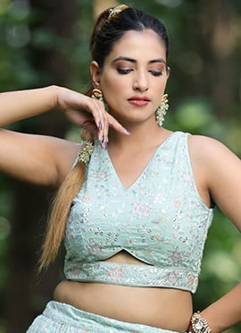 Sky Blue Georgette Embroidered Blouse