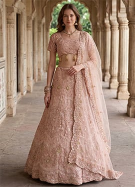 Baby Pink Georgette Embroidery Sequins Lehenga
