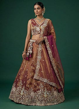 Beautiful Copper Brown Tissue Embroidered Umbrella Lehenga