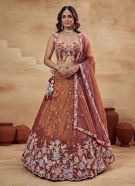 Beautiful Rust Tissue Embroidered Umbrella Lehenga