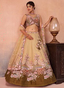 Beige Net Embroidered Sequins Stones Work Lehenga