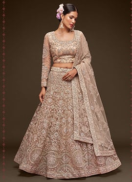 Beige Net Embroidered Work Umbrella Lehenga Choli