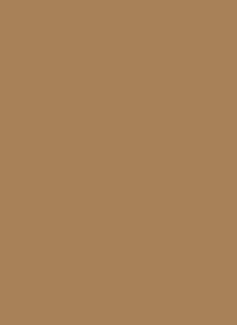 Beige Net Solid Fabric