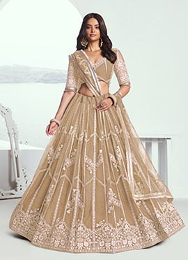 Beige Net Zari Embroidered Sequins Lehenga