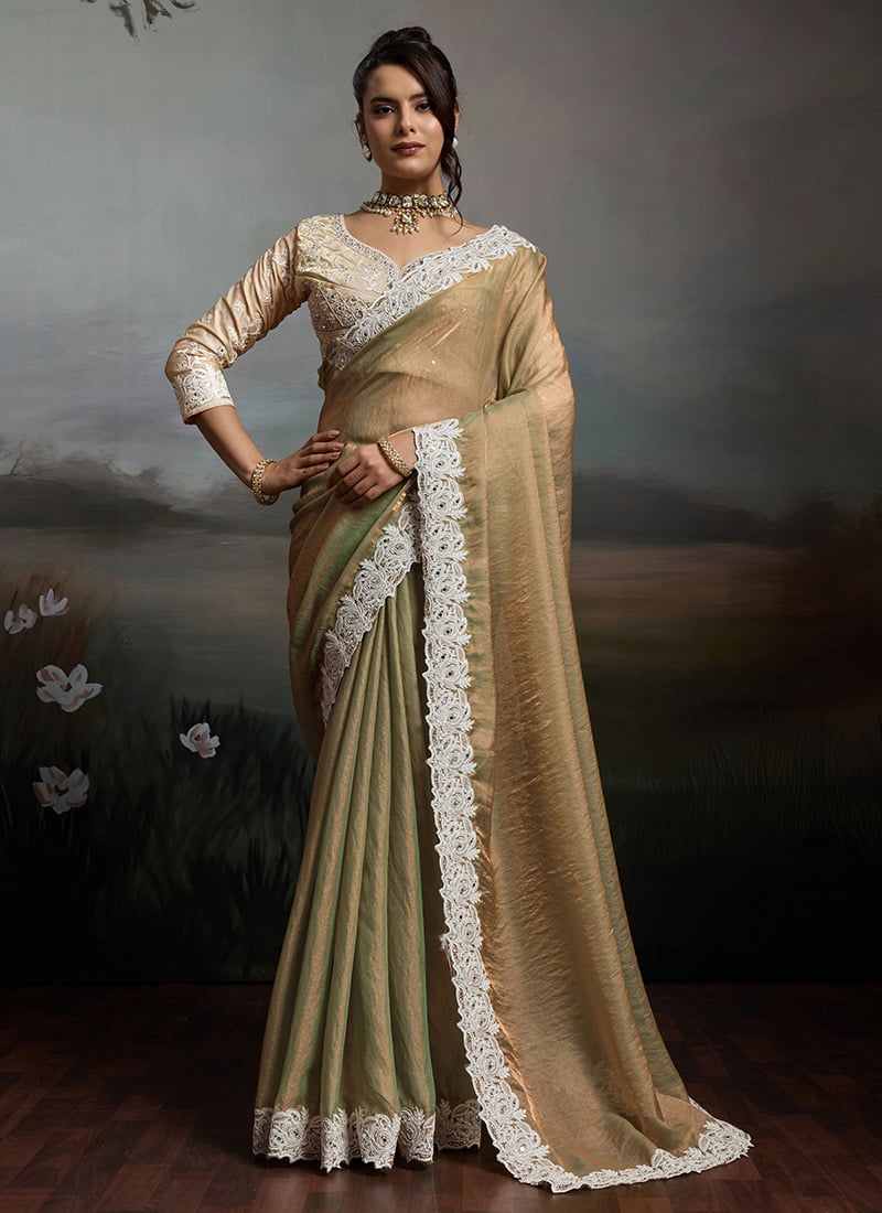 Beige Satin Velvet Silk Zarkan Embroidered With Mirror Work Border Saree After Six Wear