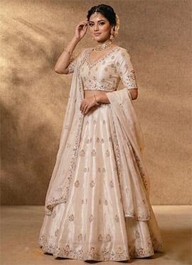 Beige Silk Embroidered Elegant Lehenga