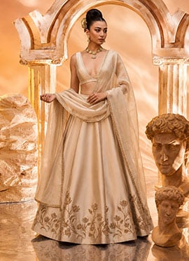 Beige Silk Zardosi Resham Embroidered Lehenga Choli
