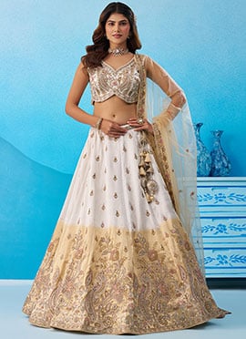 Beige Tissue Embroidered Sequins Stones Zari Lehenga