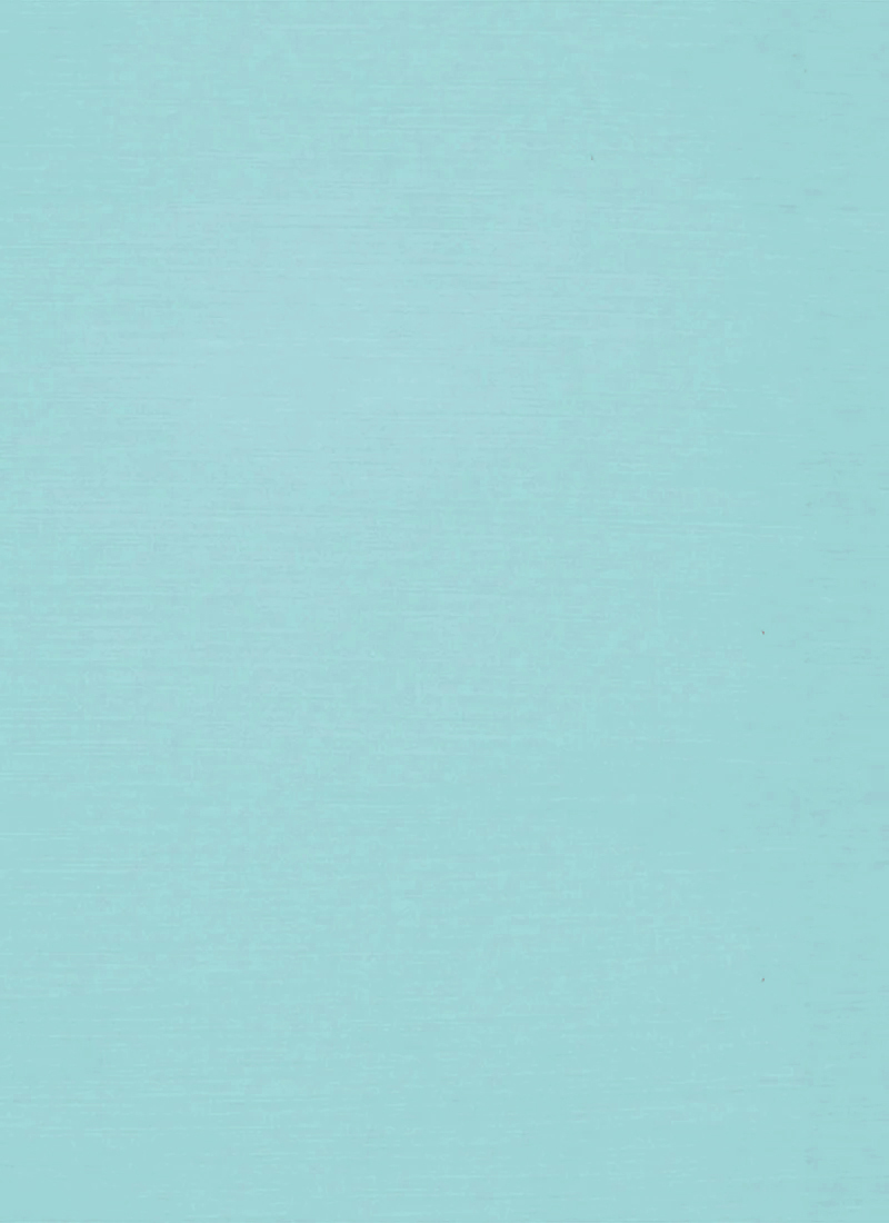 Blue Organza Fabric