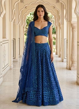 Blue Net Embroidered Sequins Lehenga