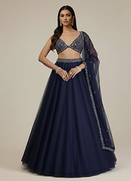 Blue Net Sequins Hand Embroidered Umbrella Lehenga