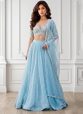 Blue Organza Beads Hand Embroidered Lehenga
