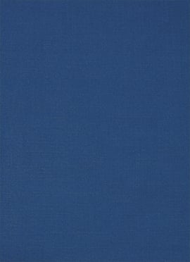 Blue Rayon Solid Fabric