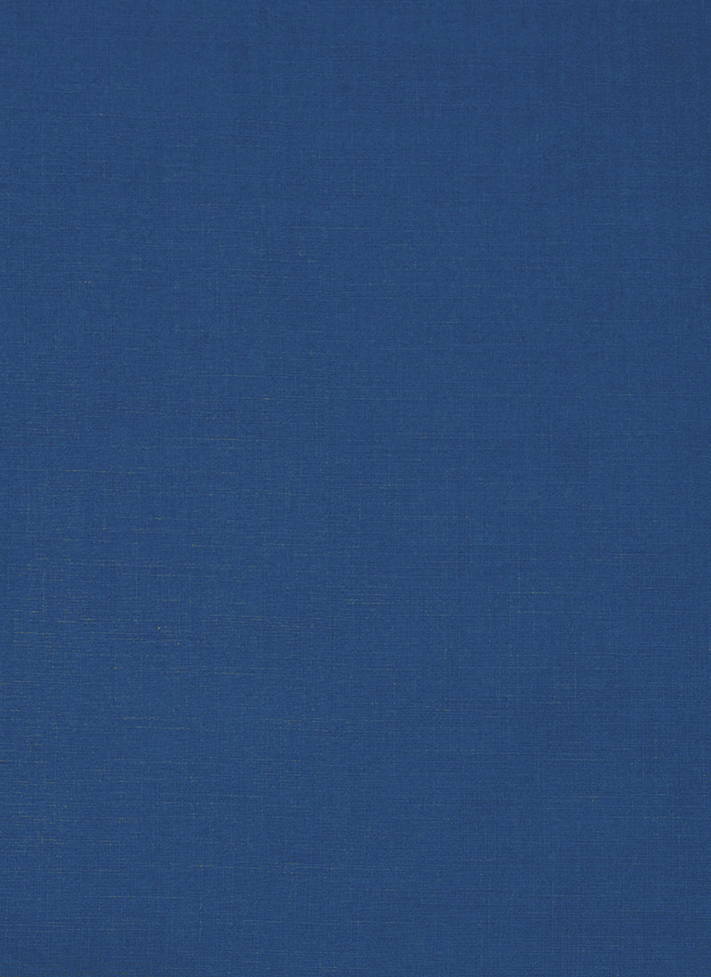 Blue Rayon Solid Fabric