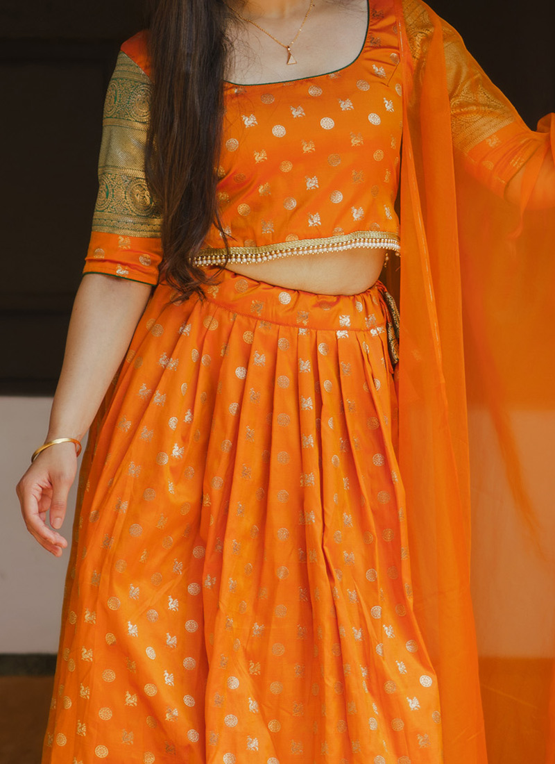 Exquisite Zari Panel Dress