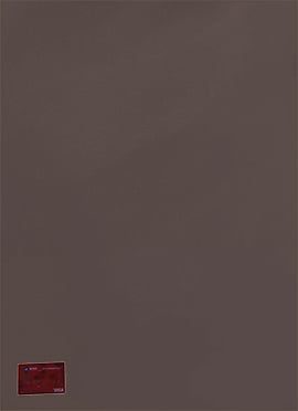 Brown Organza Fabric