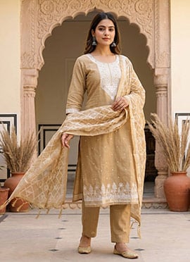 Chikoo Banarasi Silk Jamdani Pichwai Weaving Straight Pant Suit
