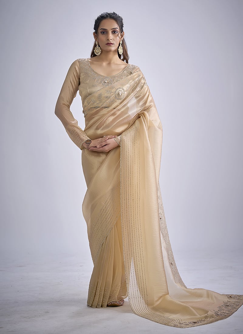 Chiku Kanjivaram Silk Hand Embroidered Sequins With Cutdan And Tikki Work Saree After Six Wear