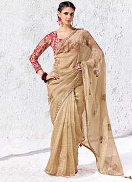 Chiku Organza Silk Embroidered Saree with Digital Print Blouse