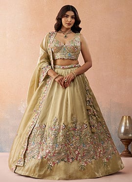 Chiku Tissue Embroidered Sequins Zari Stones Work Lehenga