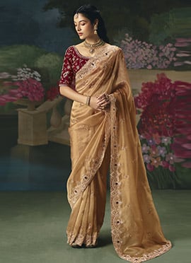 Chiku Tissue Organza Sequins Embroidered With Stone Work Saree