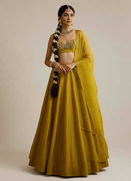 Citrine Yellow Silk Stones Hand Embroidered Umbrella Lehenga