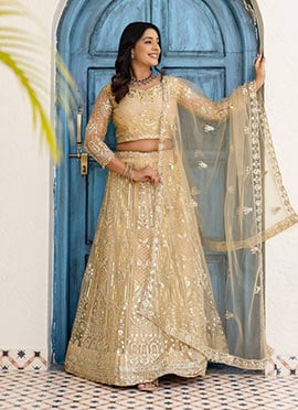Cream Butterfly Net Sequins and Codding Embroidery A Line Lehenga