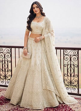 Cream Embroidered Soft Net Lehenga