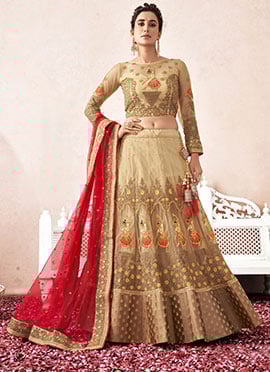 Dark Cream Net Stones Embroidered Zari Thread A Line Lehenga