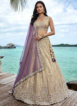 Elegant Cream Tissue Embroidered Umbrella Lehenga
